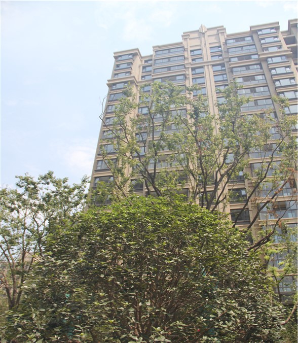 内置百叶中空玻璃